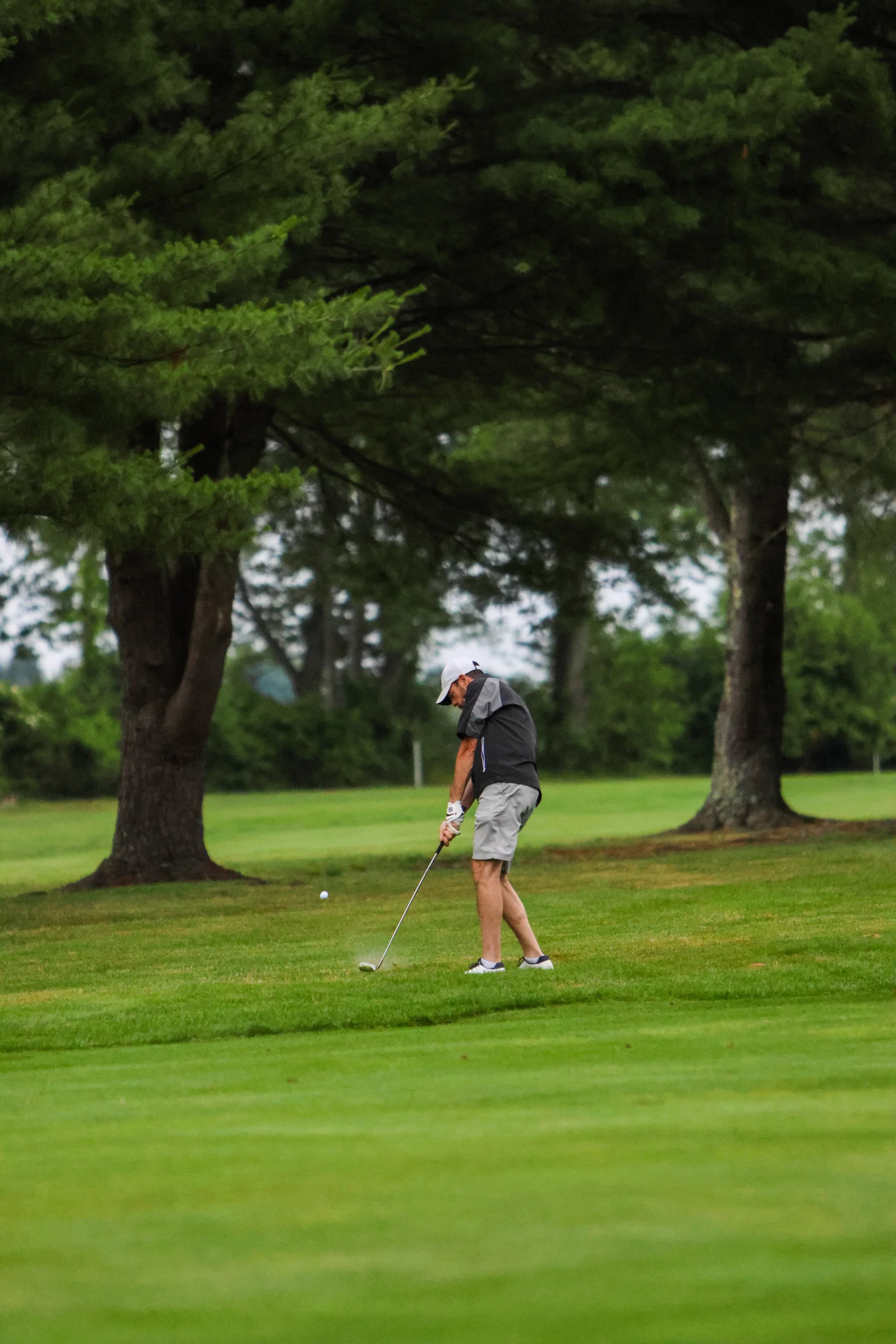 Alumni Golf Tournament Jj2.webp